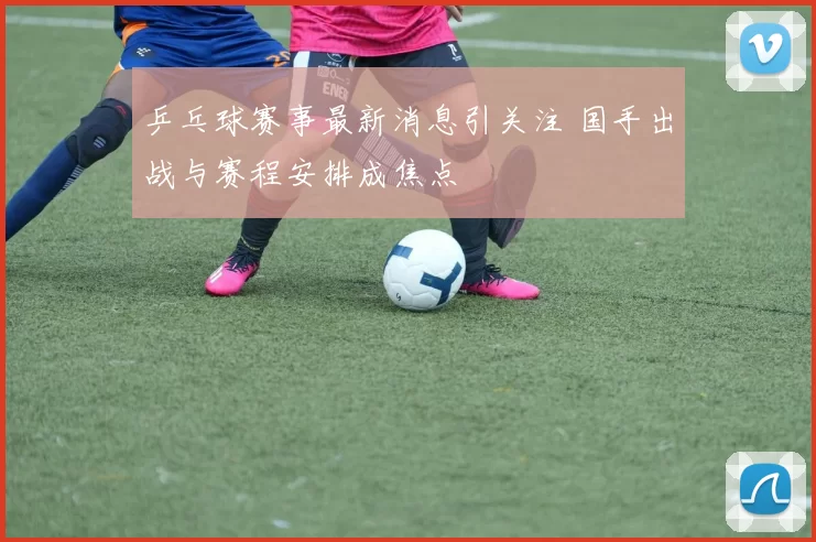 乒乓球赛事最新消息引关注 国手出战与赛程安排成焦点