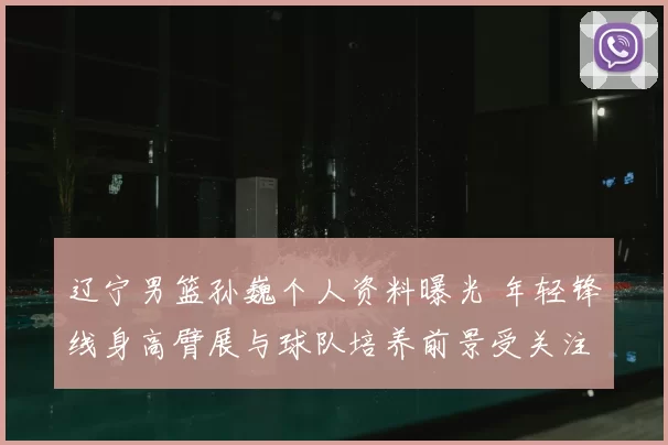 辽宁男篮孙巍个人资料曝光 年轻锋线身高臂展与球队培养前景受关注