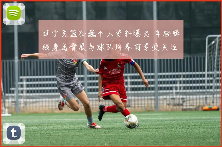 辽宁男篮孙巍个人资料曝光 年轻锋线身高臂展与球队培养前景受关注