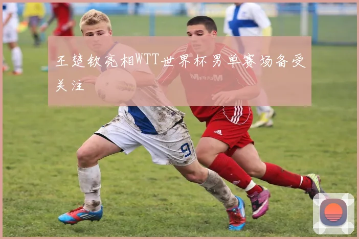 王楚钦亮相WTT世界杯男单赛场备受关注