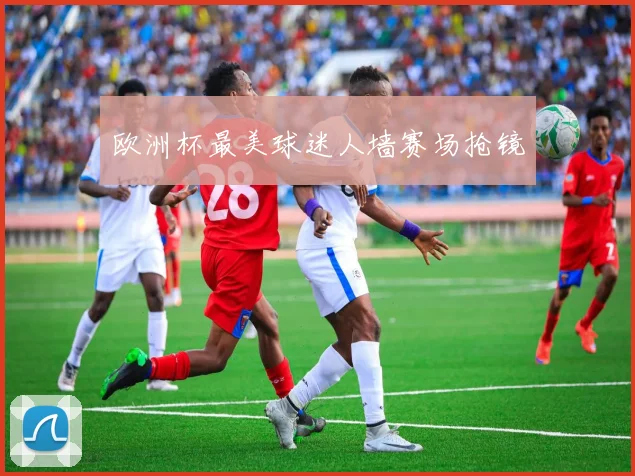 欧洲杯最美球迷人墙赛场抢镜