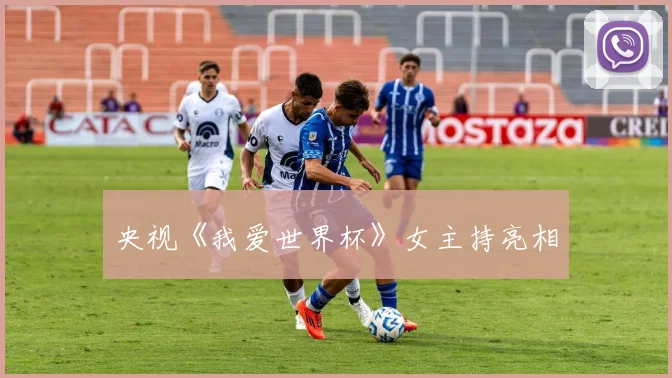 央视《我爱世界杯》女主持亮相