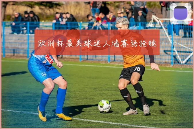 欧洲杯最美球迷人墙赛场抢镜