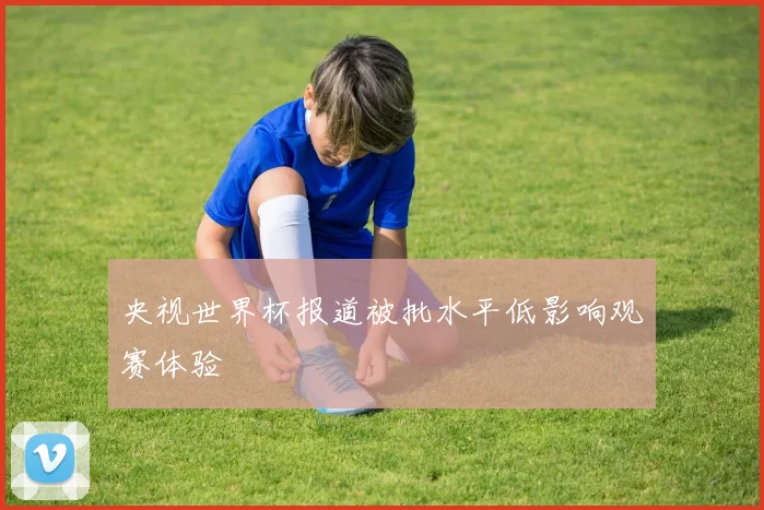 央视世界杯报道被批水平低影响观赛体验